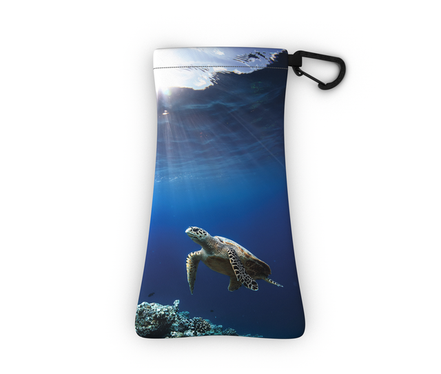 Gogglesoc Sunnysoc - Ocean