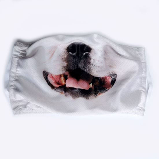 Picture of Evercover - FACE MASK COVER - DOG